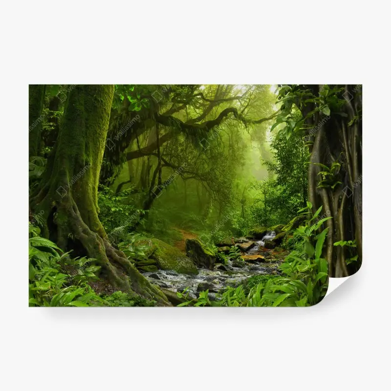 Fototapete verwunschener grüner wald mit bach