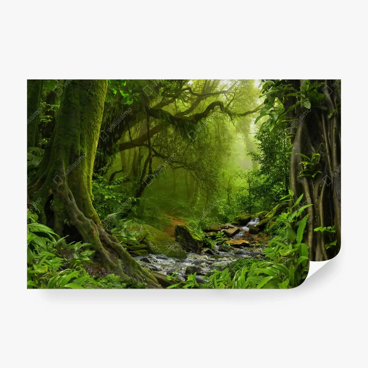 Fototapete verwunschener grüner wald mit bach – Pixers®