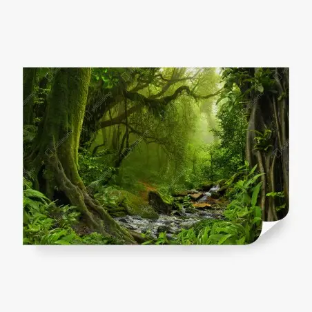 Fototapete verwunschener grüner wald mit bach – Pixers®