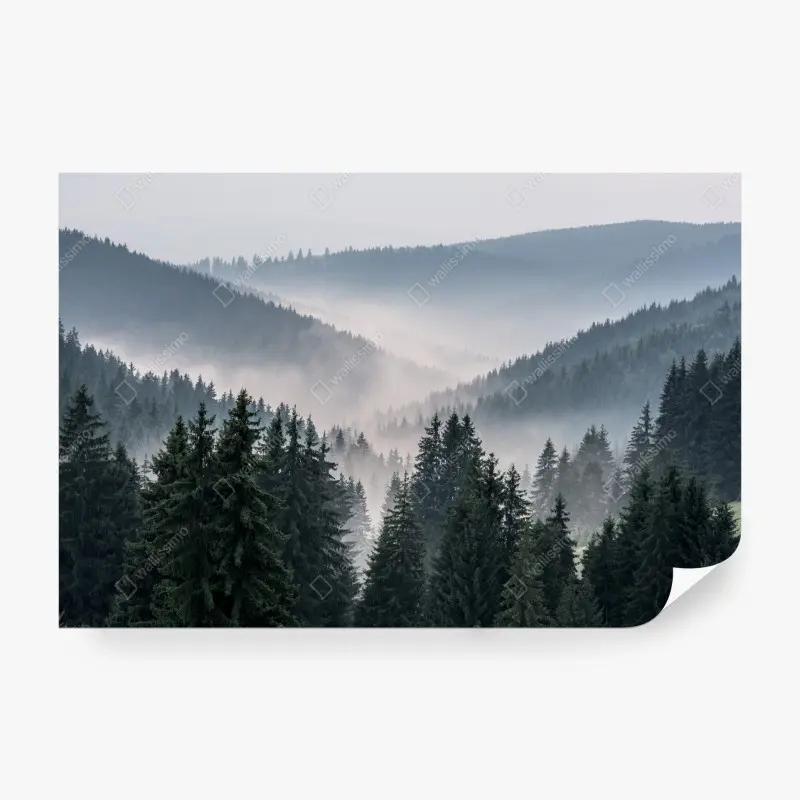 Fototapete nebliger bergwald