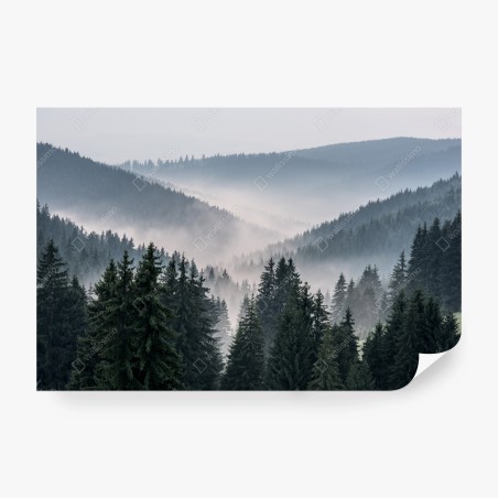Fototapete nebliger bergwald – Pixers®