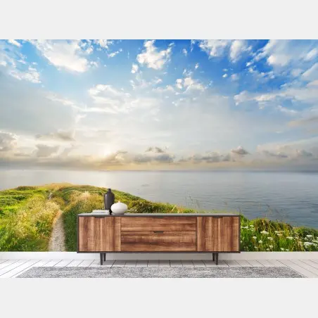 Fototapete sonniger küstenpfad zum meer – Pixers®