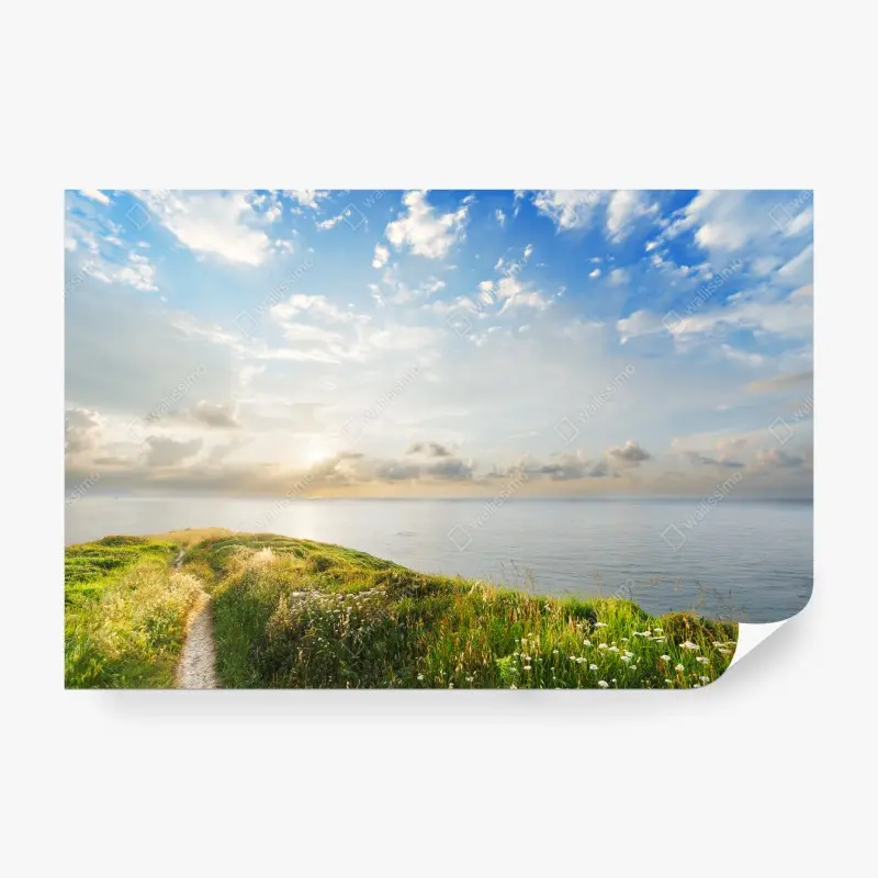 Fototapete sonniger küstenpfad zum meer