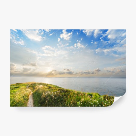 Fototapete sonniger küstenpfad zum meer – Pixers®