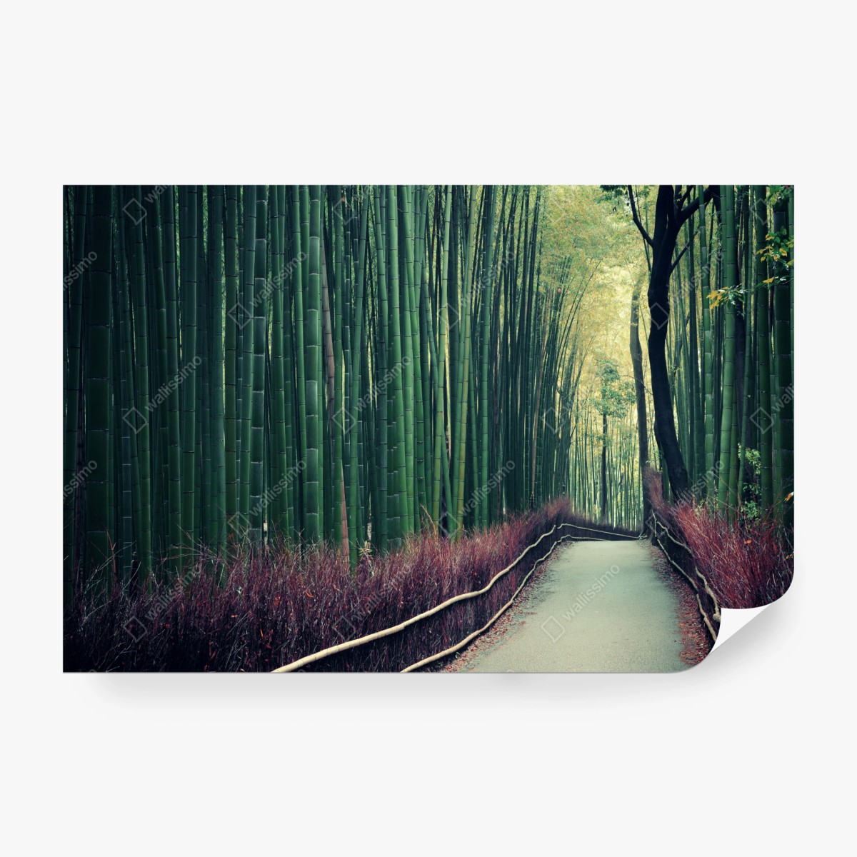 Fototapete ruhiger bambuspfad in Arashiyama – Pixers®