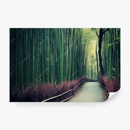 Fototapete ruhiger bambuspfad in Arashiyama – Pixers®