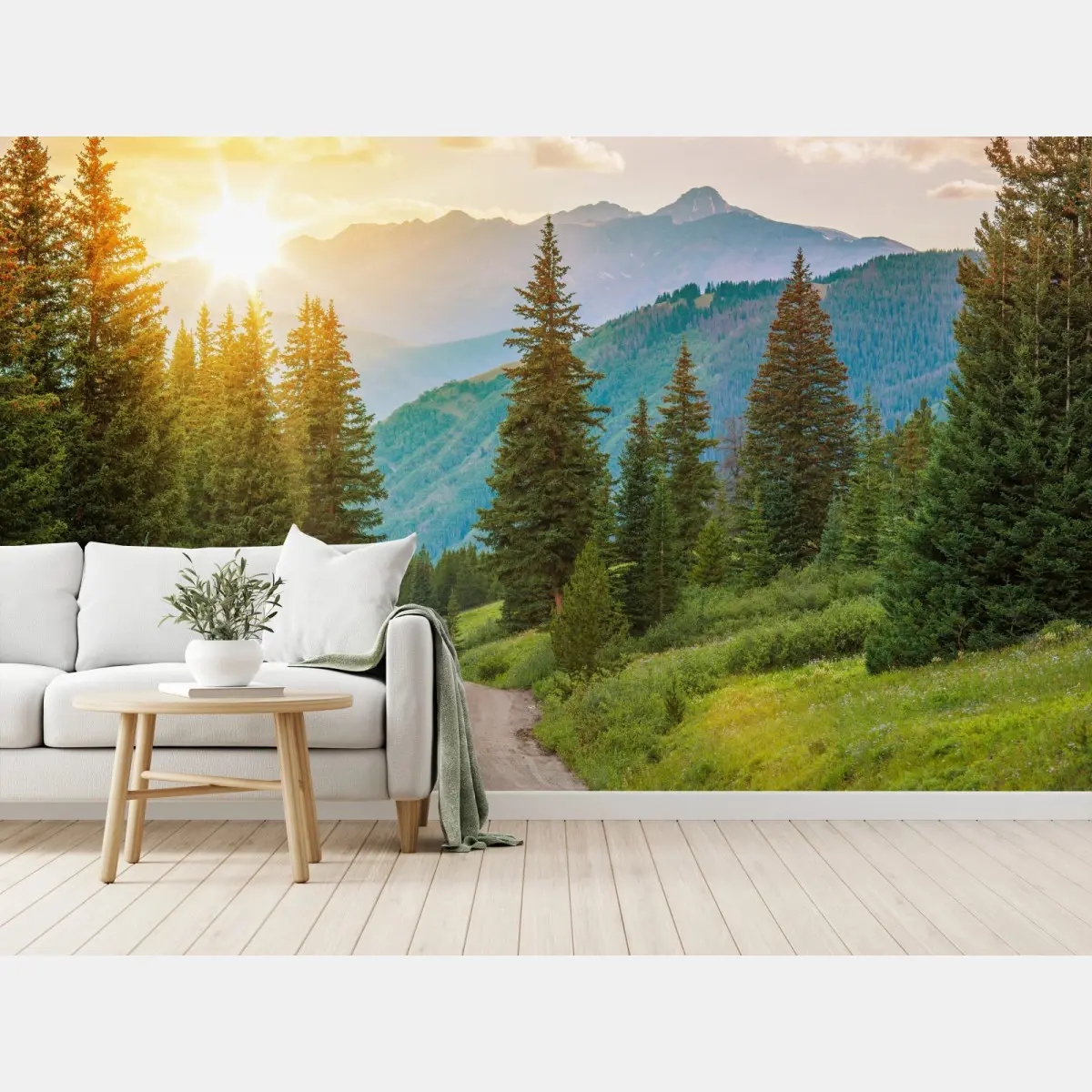 Fototapete Colorado bergpfad bei sonnenaufgang – Pixers®