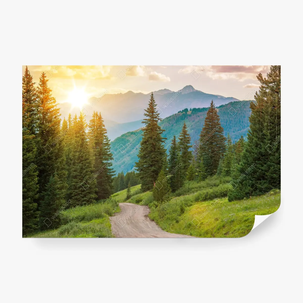 Fototapete Colorado bergpfad bei sonnenaufgang – Pixers®