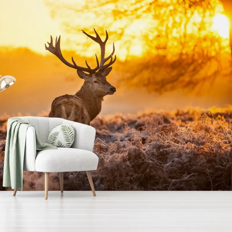 Fototapete goldener hirsch im sonnenaufgang