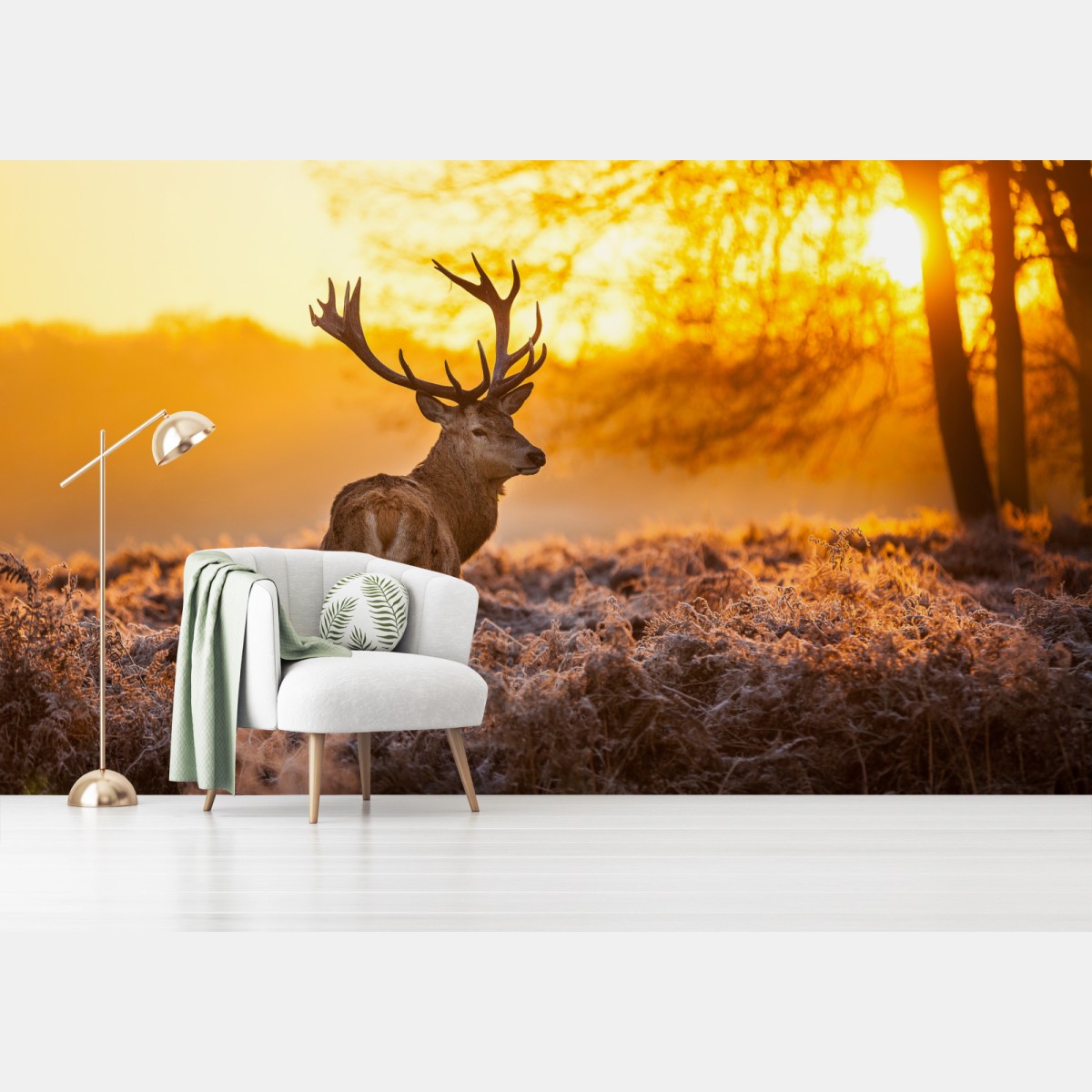 Fototapete goldener hirsch im sonnenaufgang – Pixers®