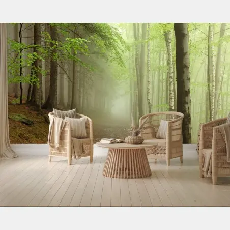 Fototapete nebliger waldpfad – Pixers®