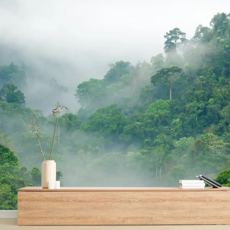 Fototapete morgendlicher nebel über Kaeng Krachan