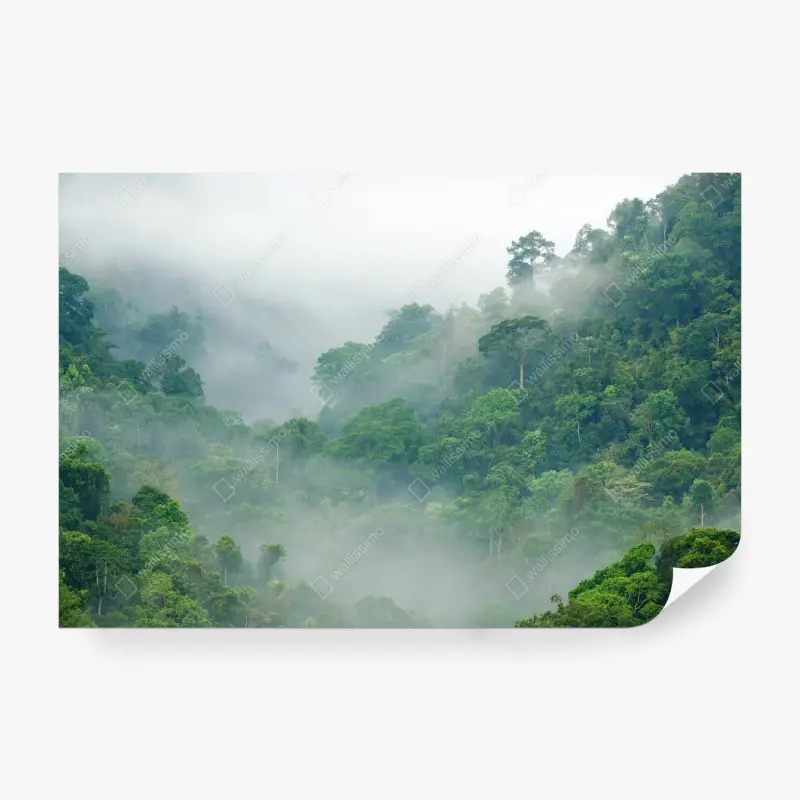 Fototapete morgendlicher nebel über Kaeng Krachan