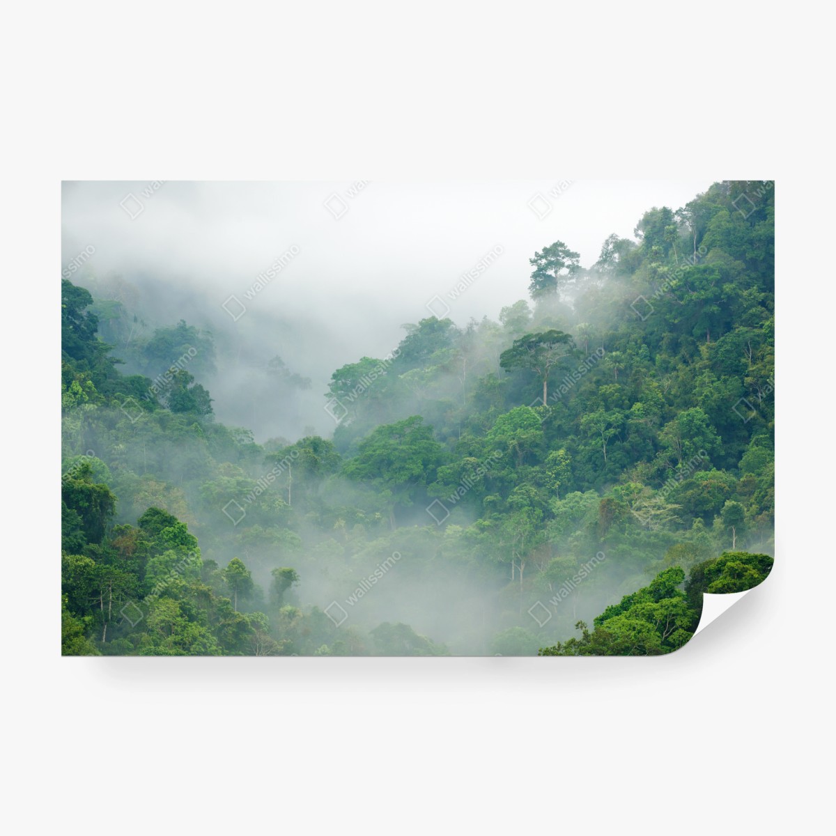 Fototapete morgendlicher nebel über Kaeng Krachan – Pixers®