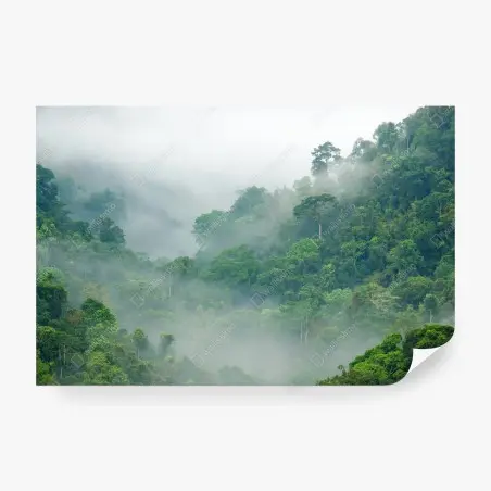 Fototapete morgendlicher nebel über Kaeng Krachan – Pixers®