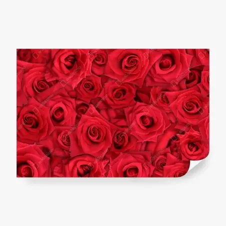 Fototapete leuchtende rote rosen collage – Pixers®