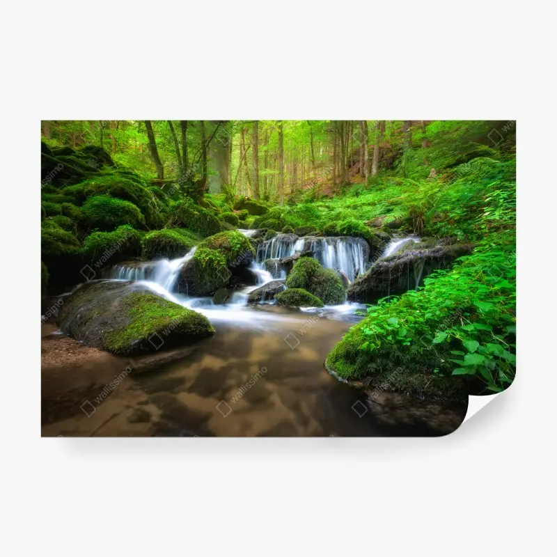Fototapete ruhiger moosiger waldwasserfall