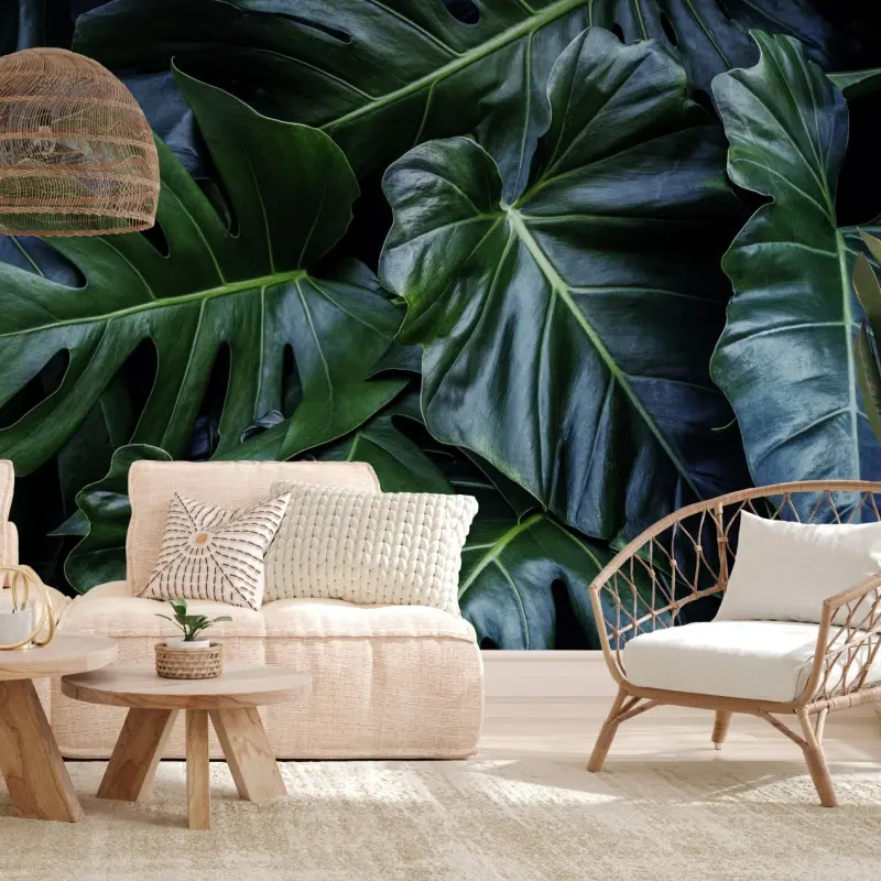 Fototapete üppige tropische monstera-blätter