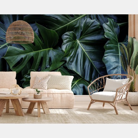 Fototapete üppige tropische monstera-blätter – Pixers®