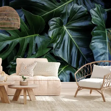 Fototapete üppige tropische monstera-blätter