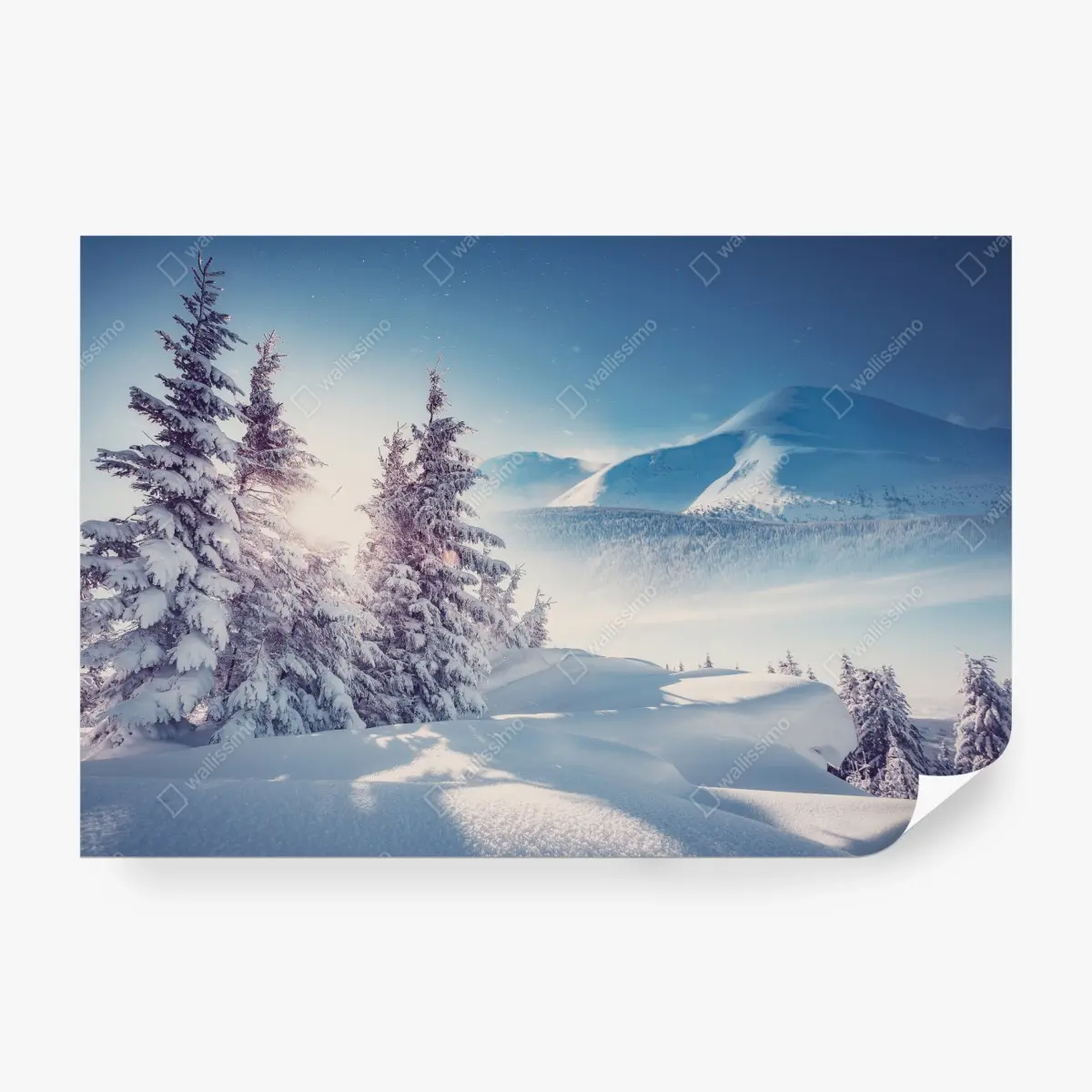 Fototapete majestätische winterlandschaft der Karpaten – Pixers®