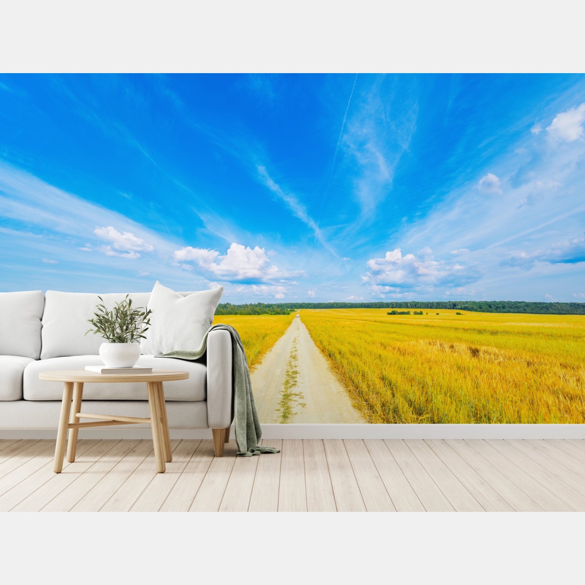 Fototapete goldene wiese unter weitem blauem himmel – Pixers®