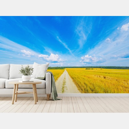 Fototapete goldene wiese unter weitem blauem himmel – Pixers®
