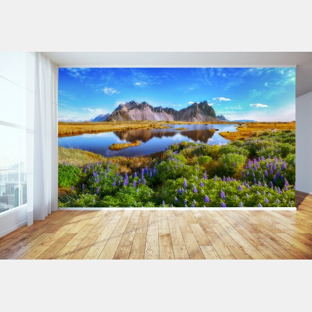 Fototapete lupinenwiese am Vestrahorn, Island – Pixers®