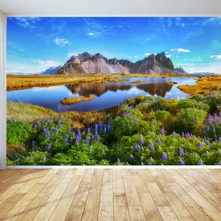 Fototapete lupinenwiese am Vestrahorn, Island