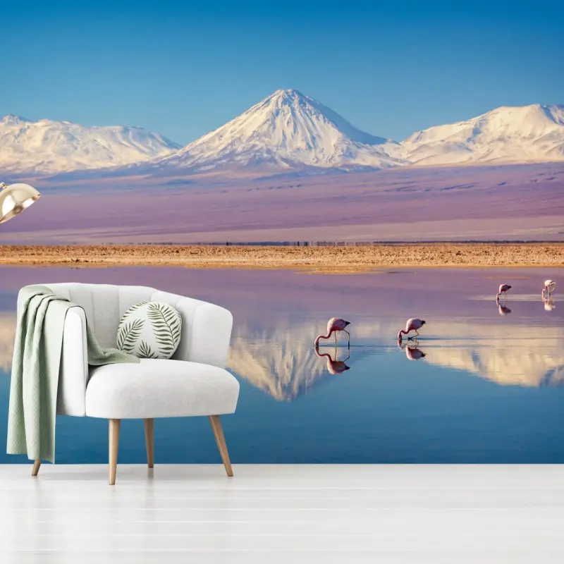 Fototapete Laguna Chaxa mit flamingos und Licancabur