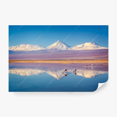Fototapete Laguna Chaxa mit flamingos und Licancabur – Pixers®