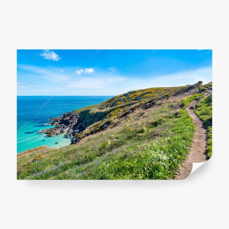 Fototapete küstenpfad nach Hor Point, St Ives – Pixers®