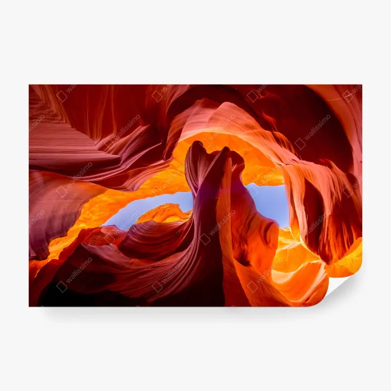 Fototapete sonnenbeleuchteter sandsteincanyon mit lebendigen kurven