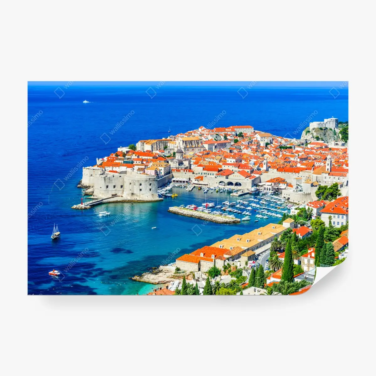 Fototapete Dubrovnik panorama der altstadt – Pixers®