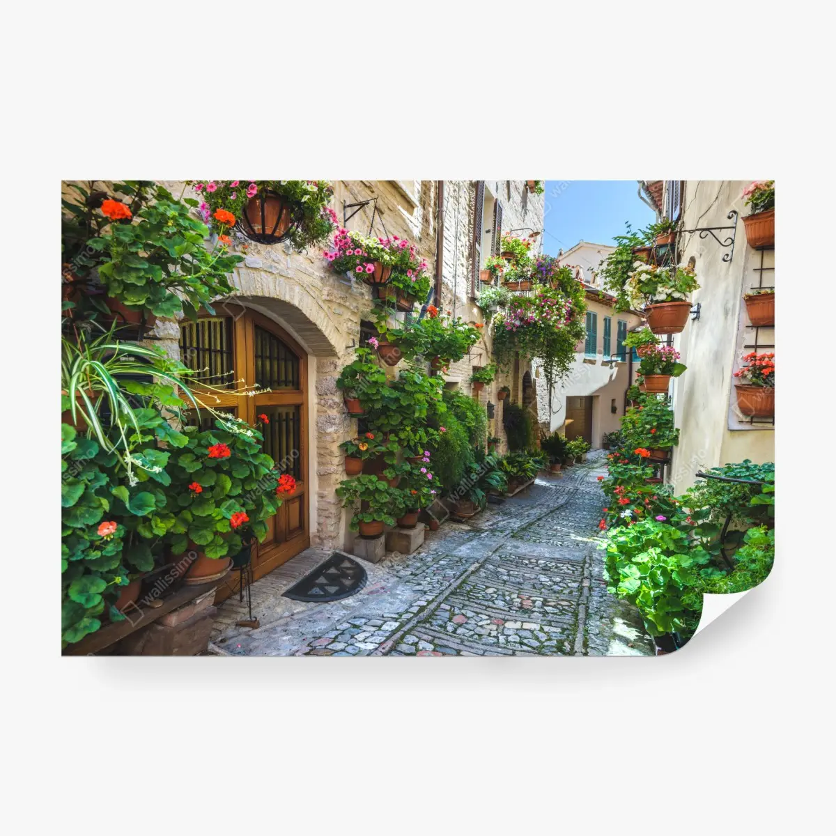 Fototapete charmante gasse in Spello, Italien – Pixers®