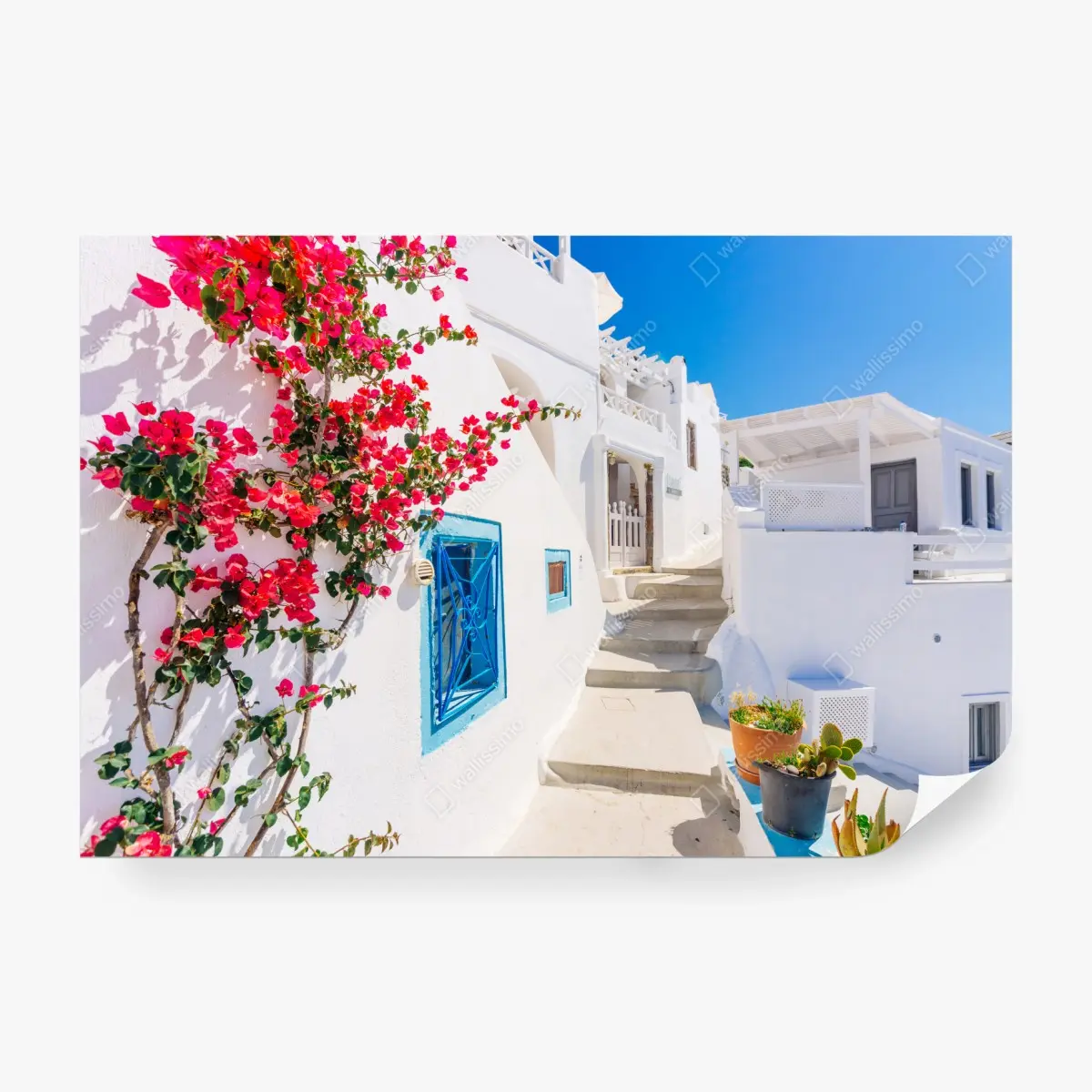 Fototapete Santorini weiße gasse mit bougainvillea – Pixers®