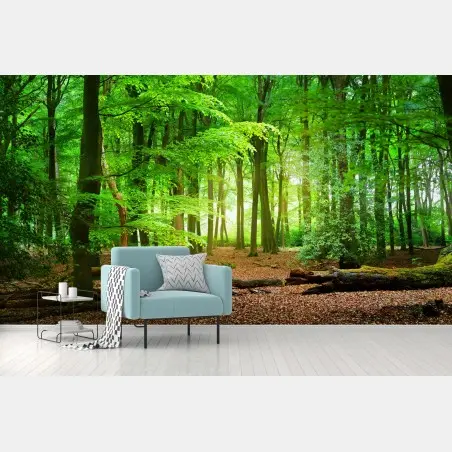 Fototapete sonnendurchfluteter grüner wald – Pixers®