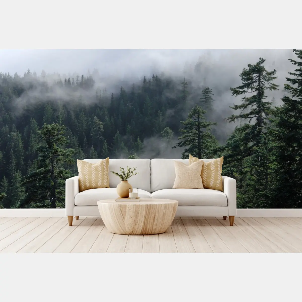 Fototapete nebliger wald vom Larch Mount, Oregon – Pixers®