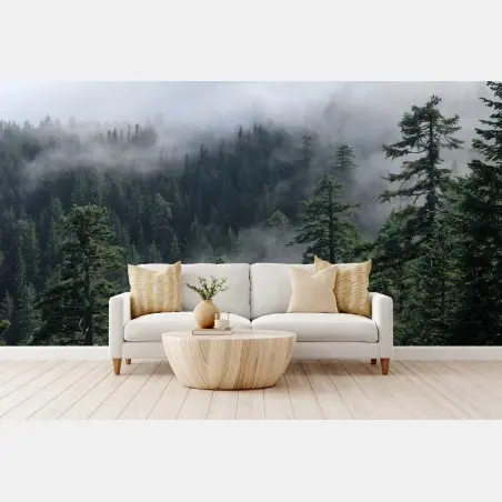 Fototapete nebliger wald vom Larch Mount, Oregon – Pixers®