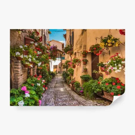 Fototapete sonnige blumengasse in Umbrien – Pixers®