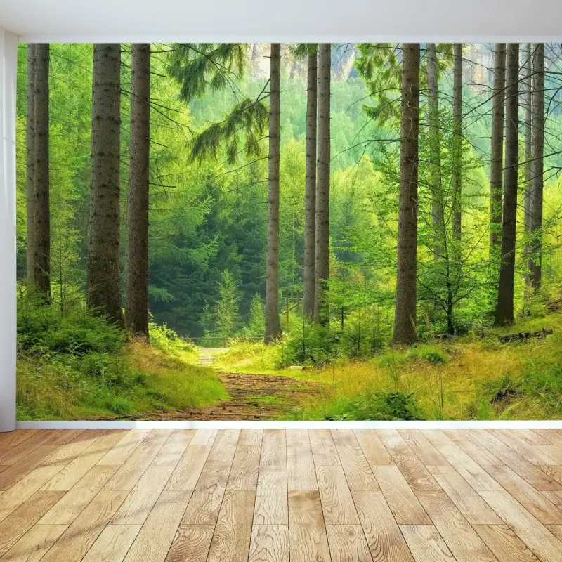 Fototapete sonniger waldweg