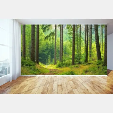 Fototapete sonniger waldweg – Pixers®