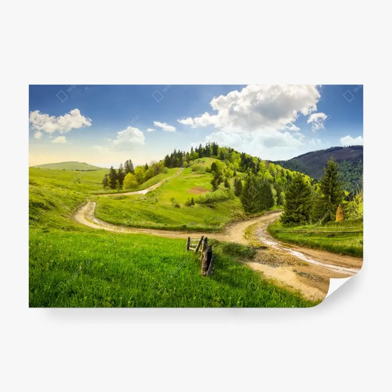 Fototapete gewundener feldweg durch grüne hügel