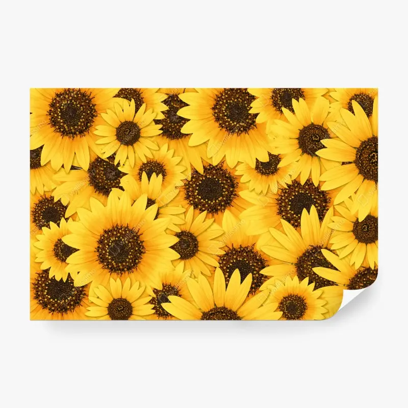 Fototapete goldene sonnenblumen