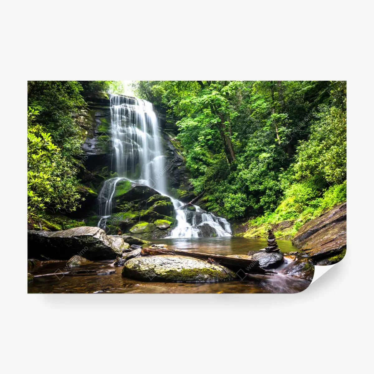 Fototapete ruhiger wasserfall im wald – Pixers®