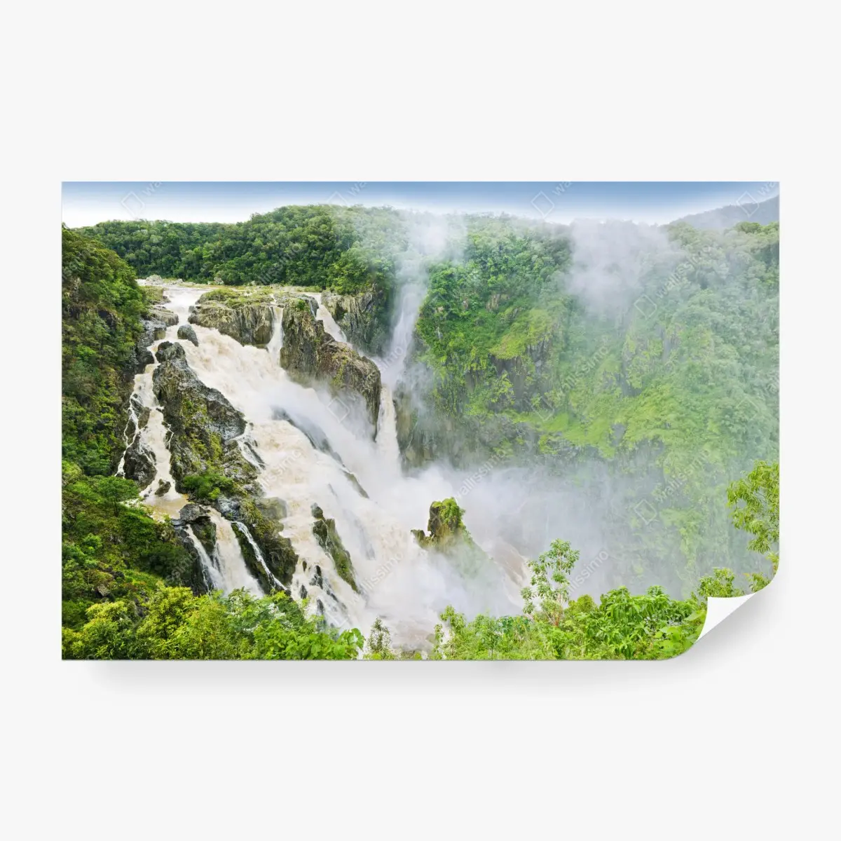 Fototapete wasserfall Barron Falls im regenwald – Pixers®