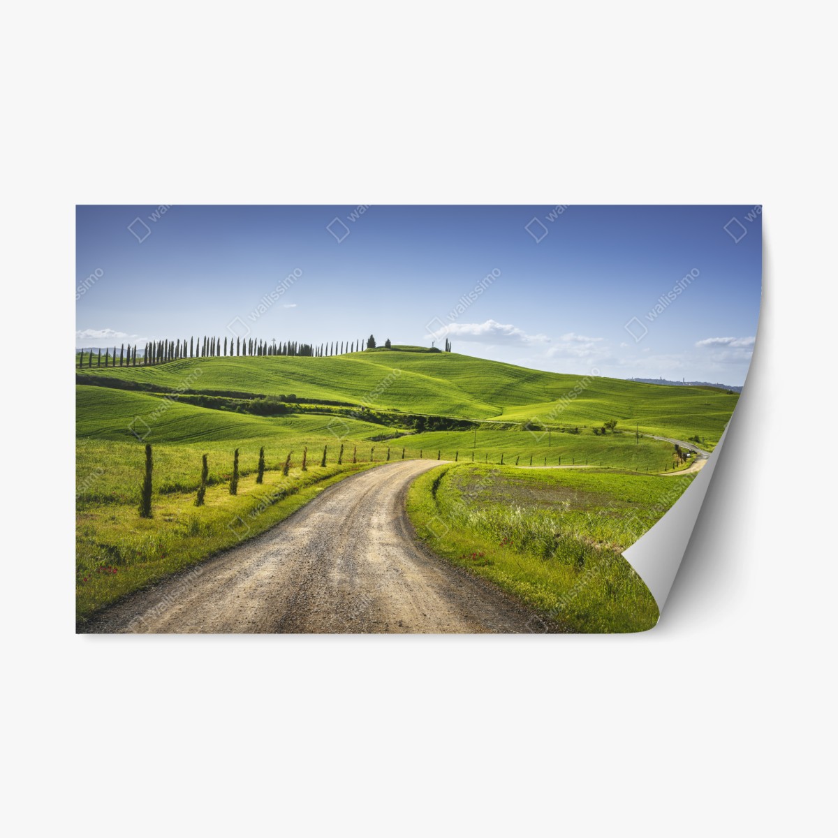 Repositionierbarer Aufkleber ländliche straße in der Toskana durch grüne hügel – Pixers®