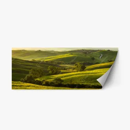 Repositionierbarer Aufkleber sonnenbeschienene grüne hügel – Pixers®