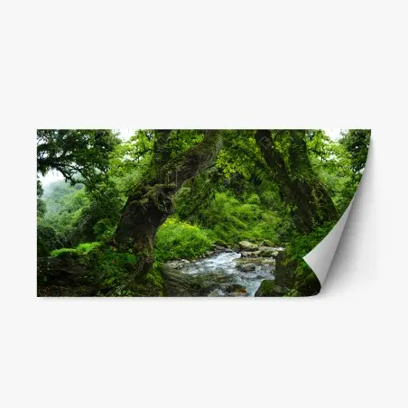 Repositionierbarer Aufkleber moosiger waldbach panorama – Pixers®