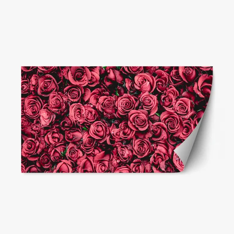 Repositionierbarer Aufkleber pralle rote rosen wandbild